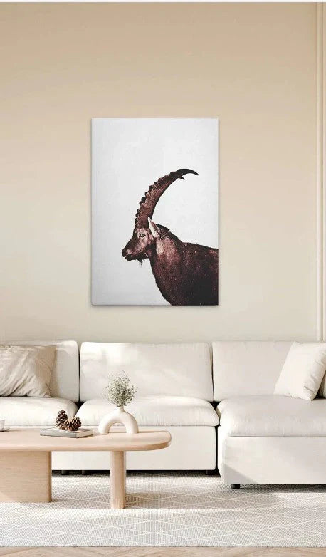 Canvas Pictures