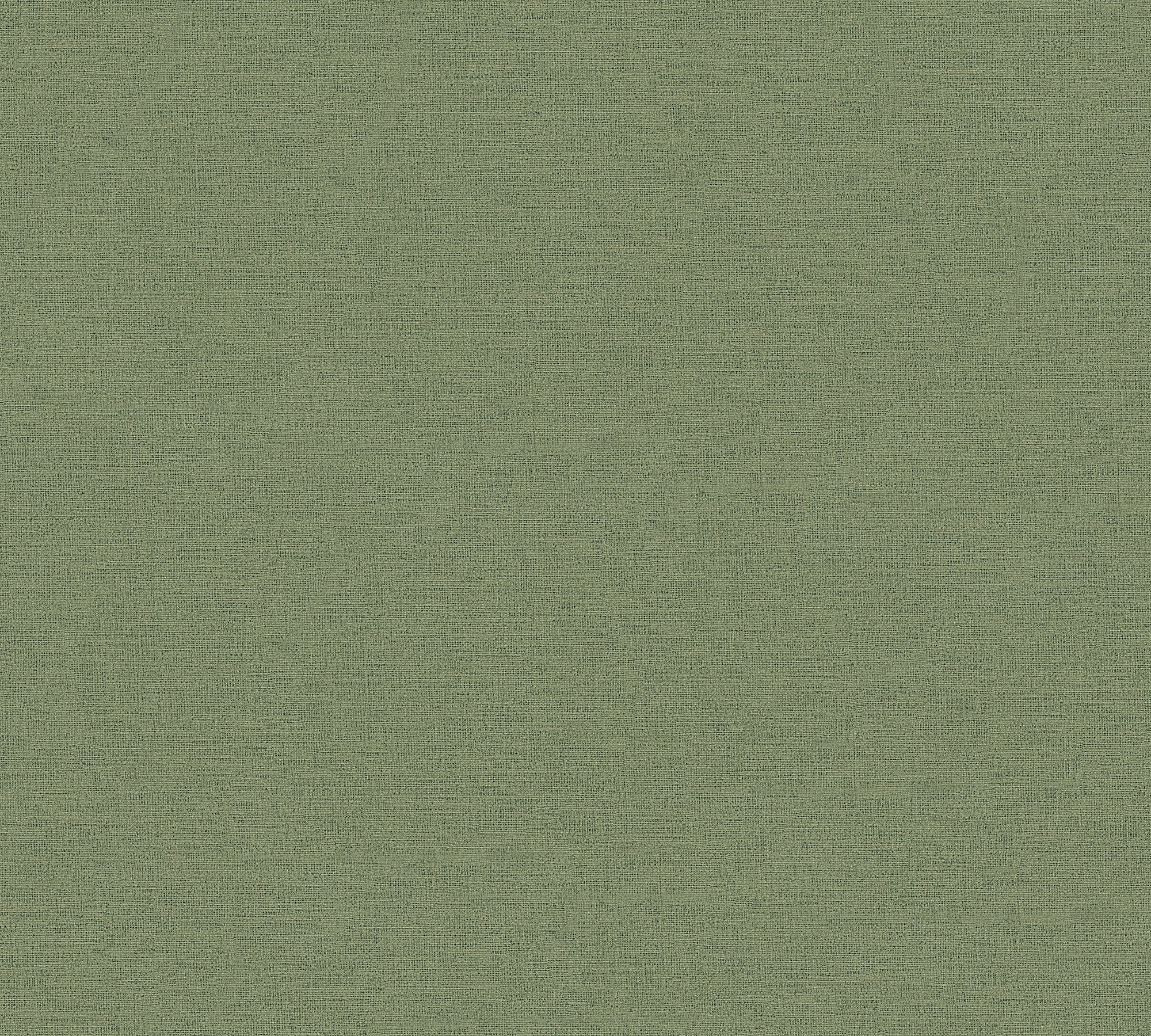 High-quality wallpaper from the Pintwalls III collection in green 