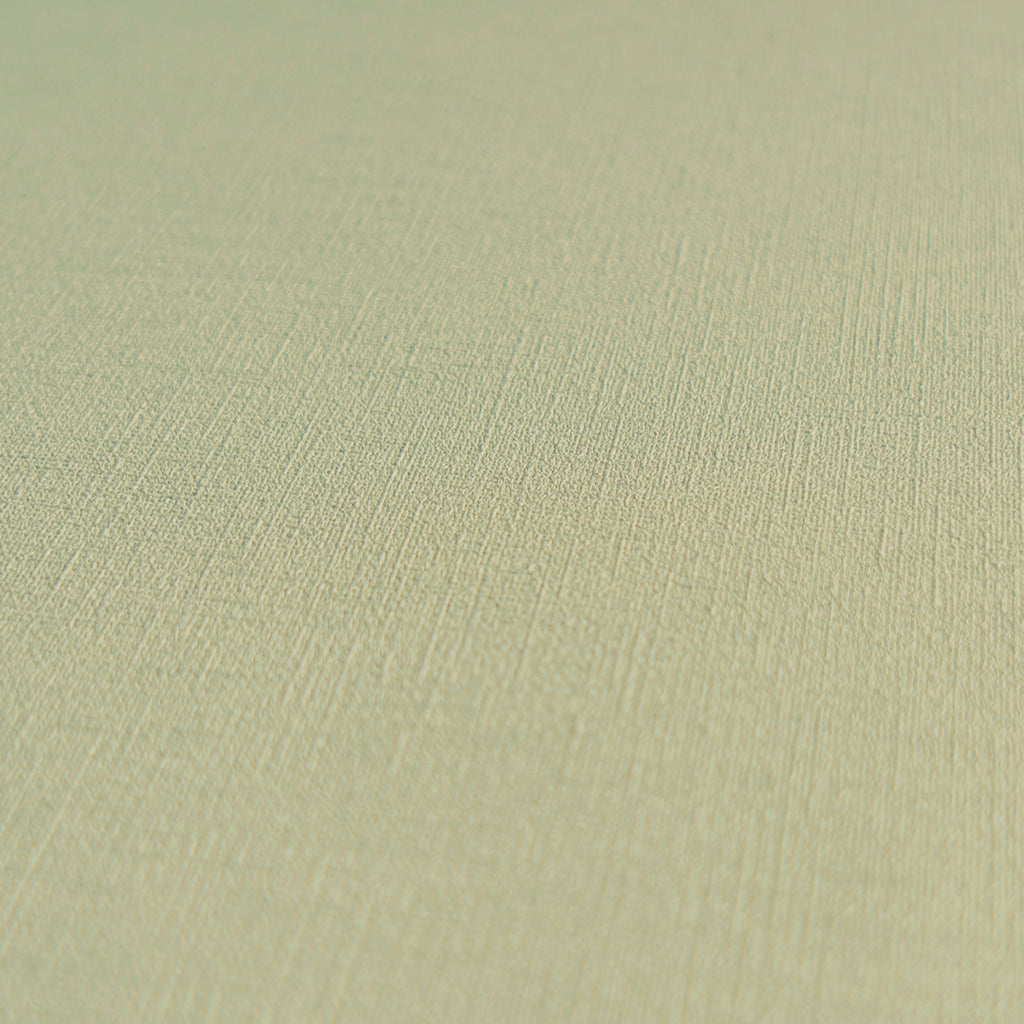 Hochwertige Vliestapete Gruen Unitapete