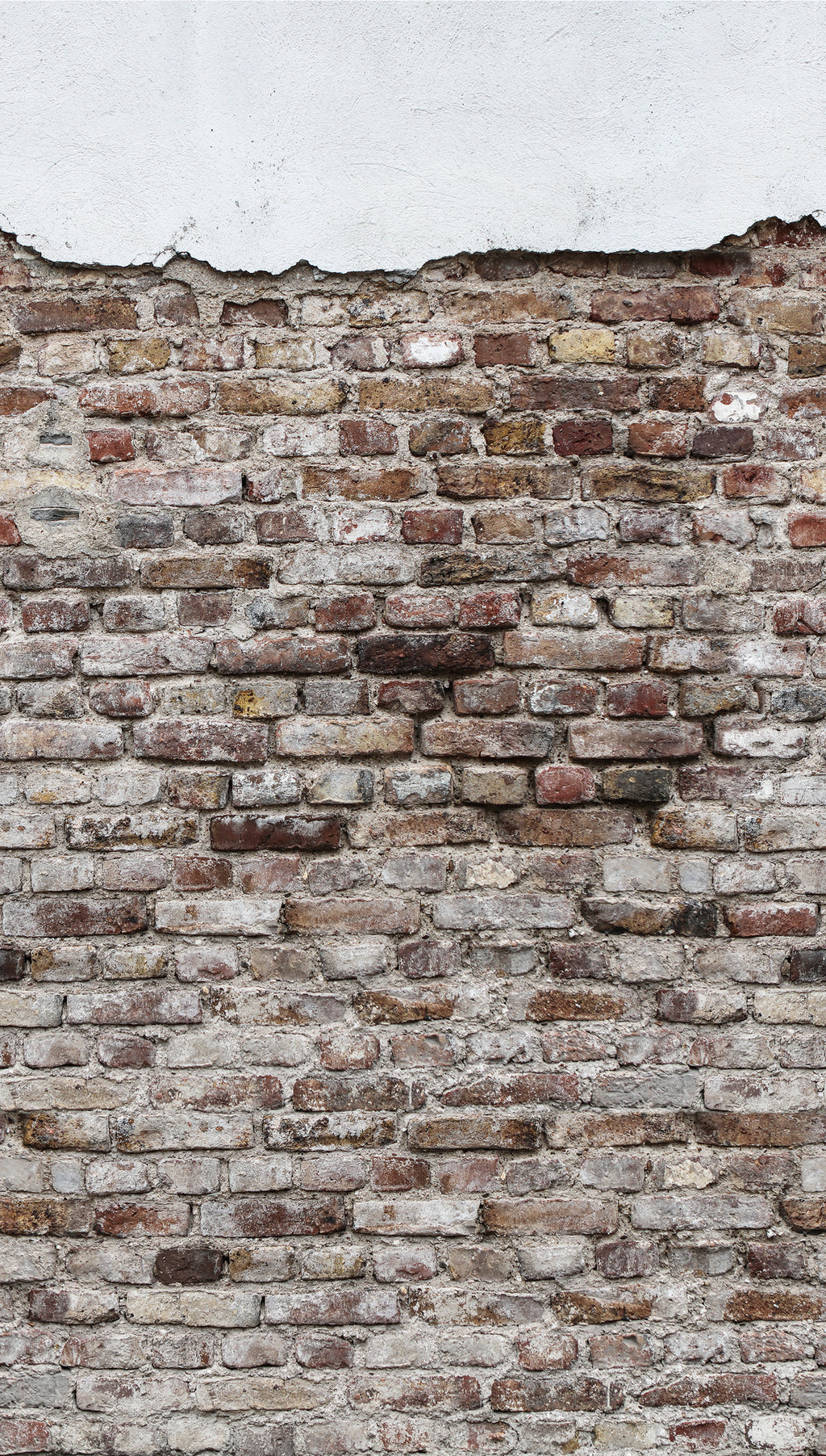 Hochwertige  Tapete aus der Kollektion The Wall in Grau