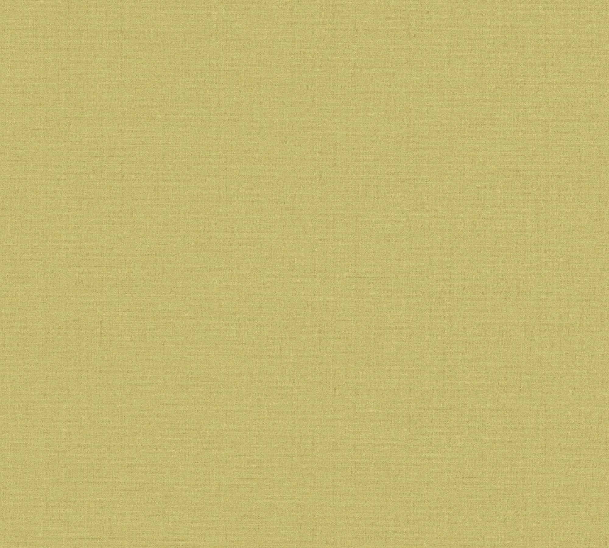 High-quality wallpaper from the Pintwalls III collection in green 