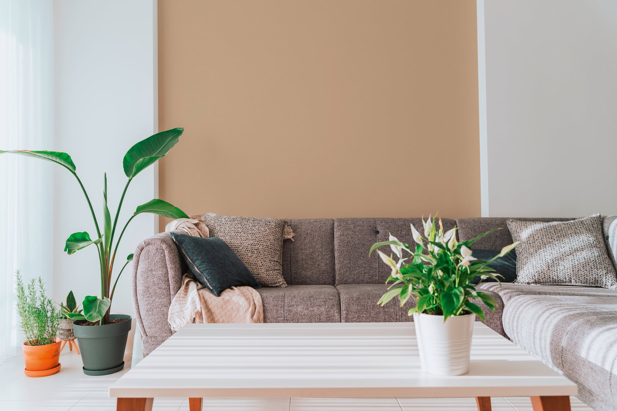 Hochwertige Tapete aus der Kollektion Pintwalls III in Braun