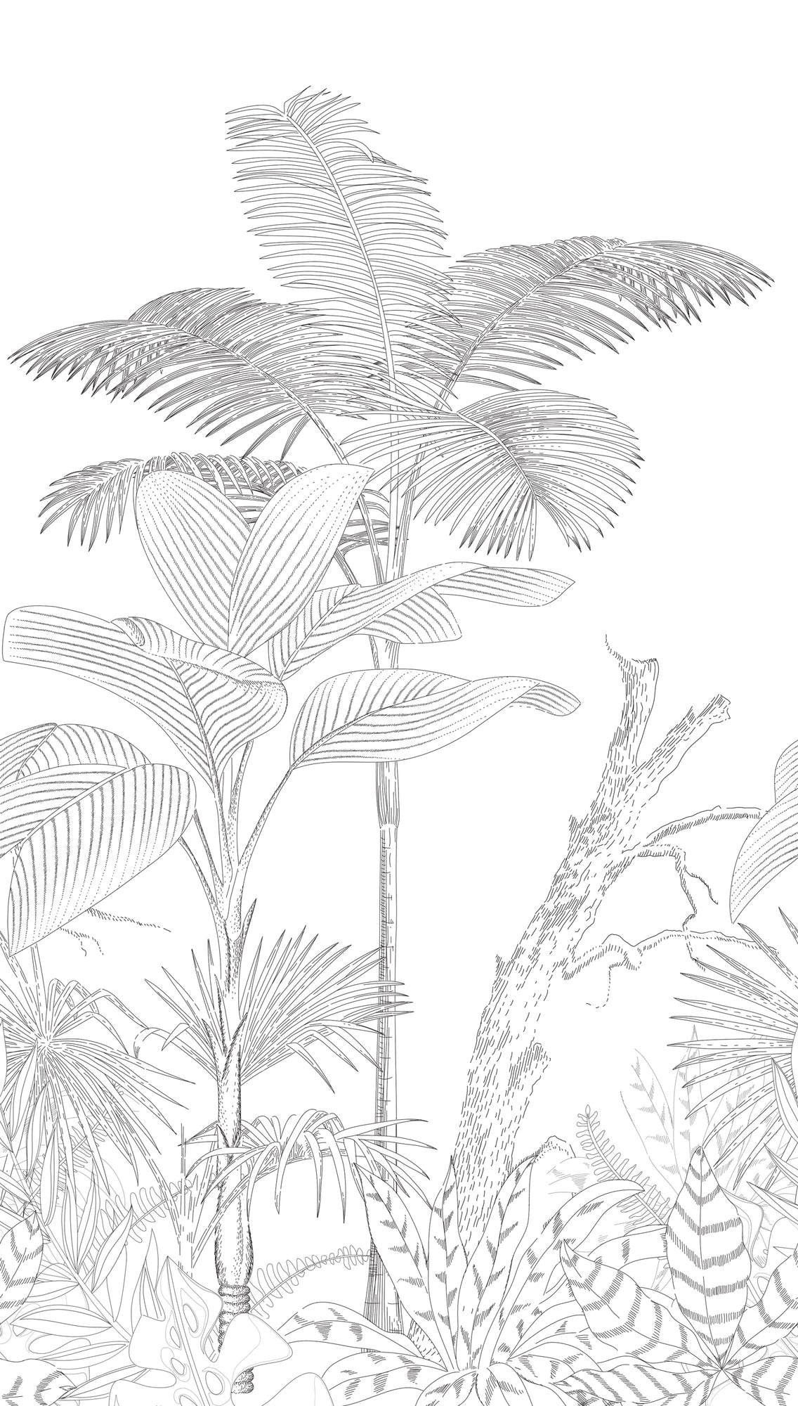 Hochwertige  Tapete aus der Kollektion The Wall II in Schwarz