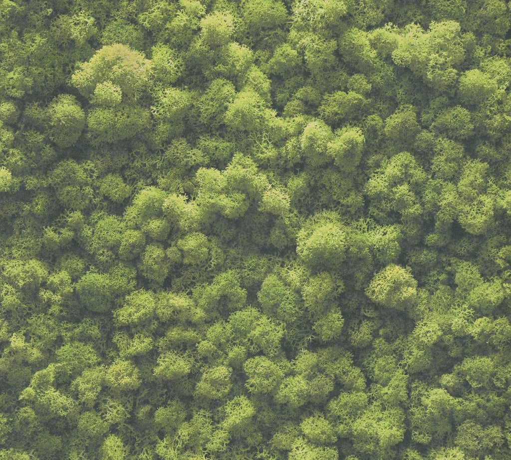 High-Quality Non-Woven Wallpaper Green Texture