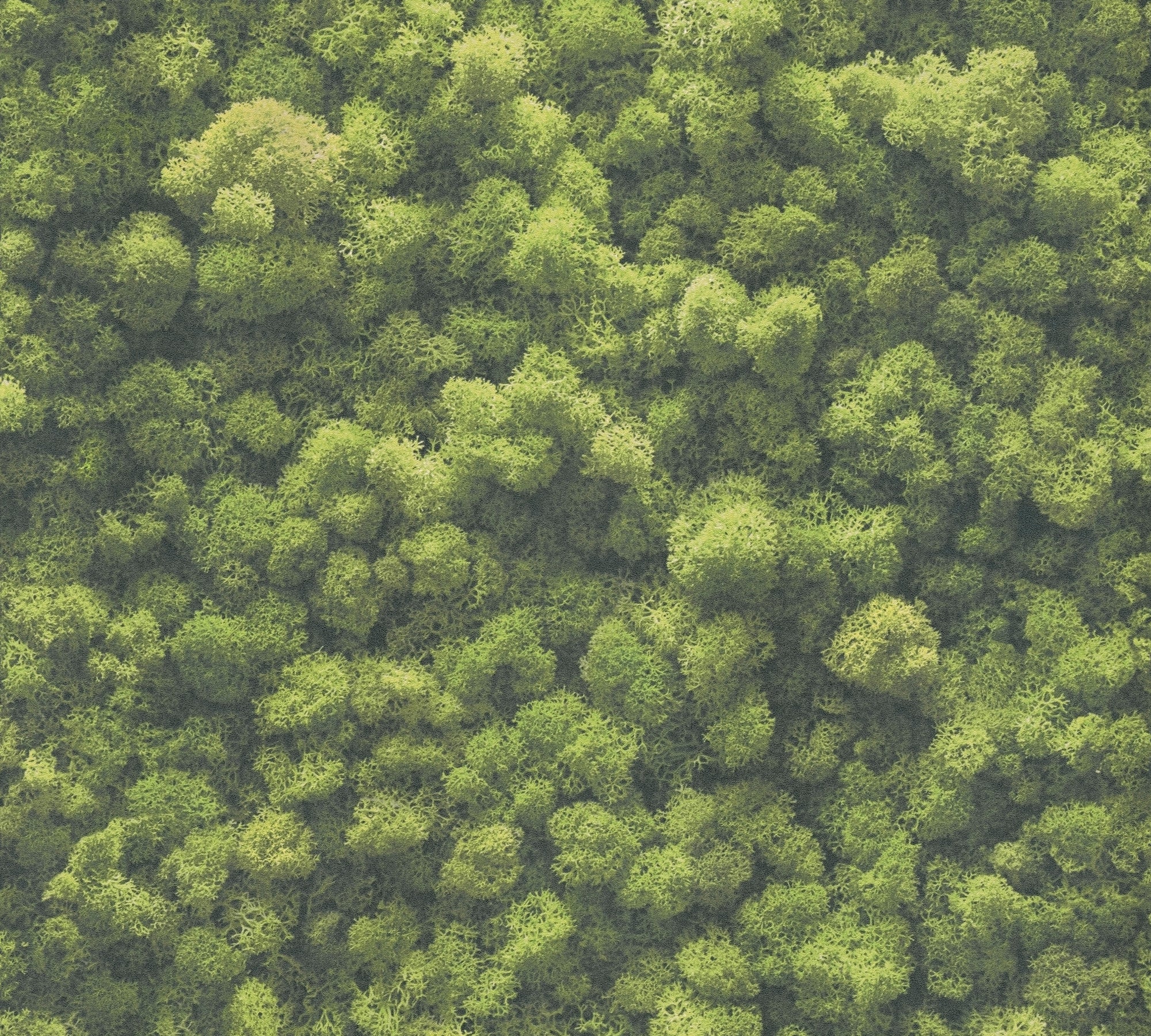 High-Quality Non-Woven Wallpaper Green Texture