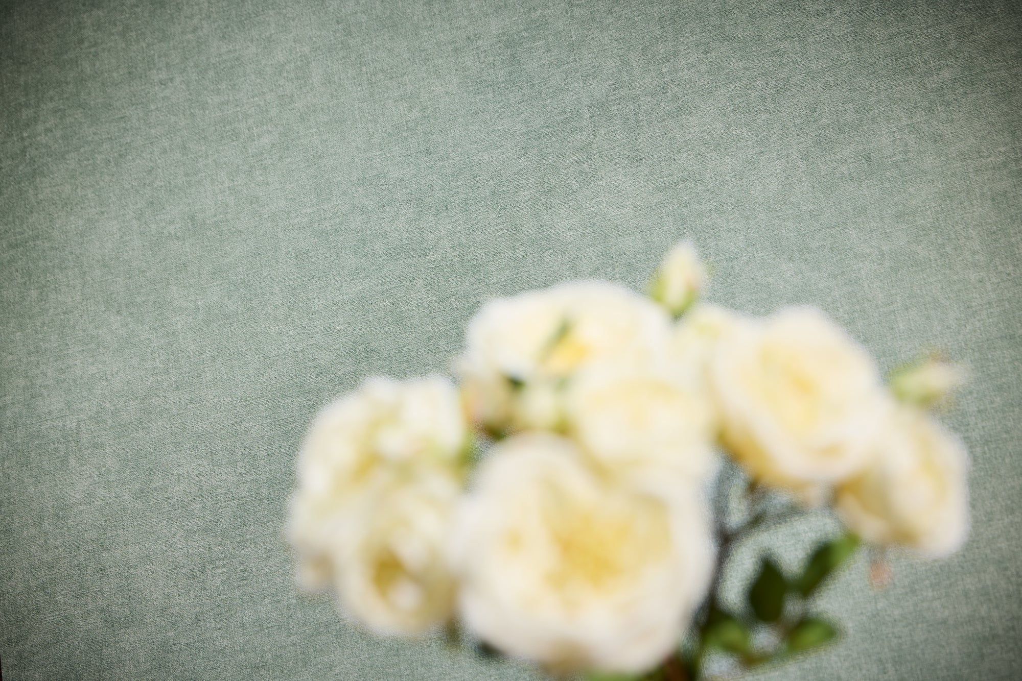 Hochwertige  Tapete aus der Kollektion Metropolitan Stories Hot Spots in Grün