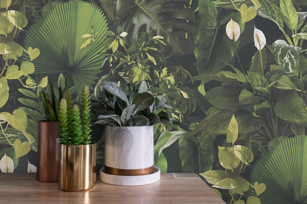 Premium Non-Woven Wallpaper Green Jungle