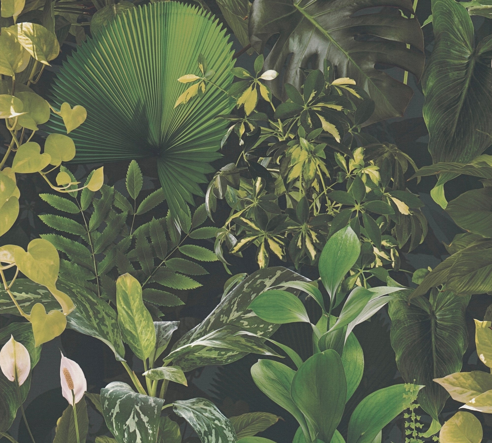 Premium Non-Woven Wallpaper Green Jungle