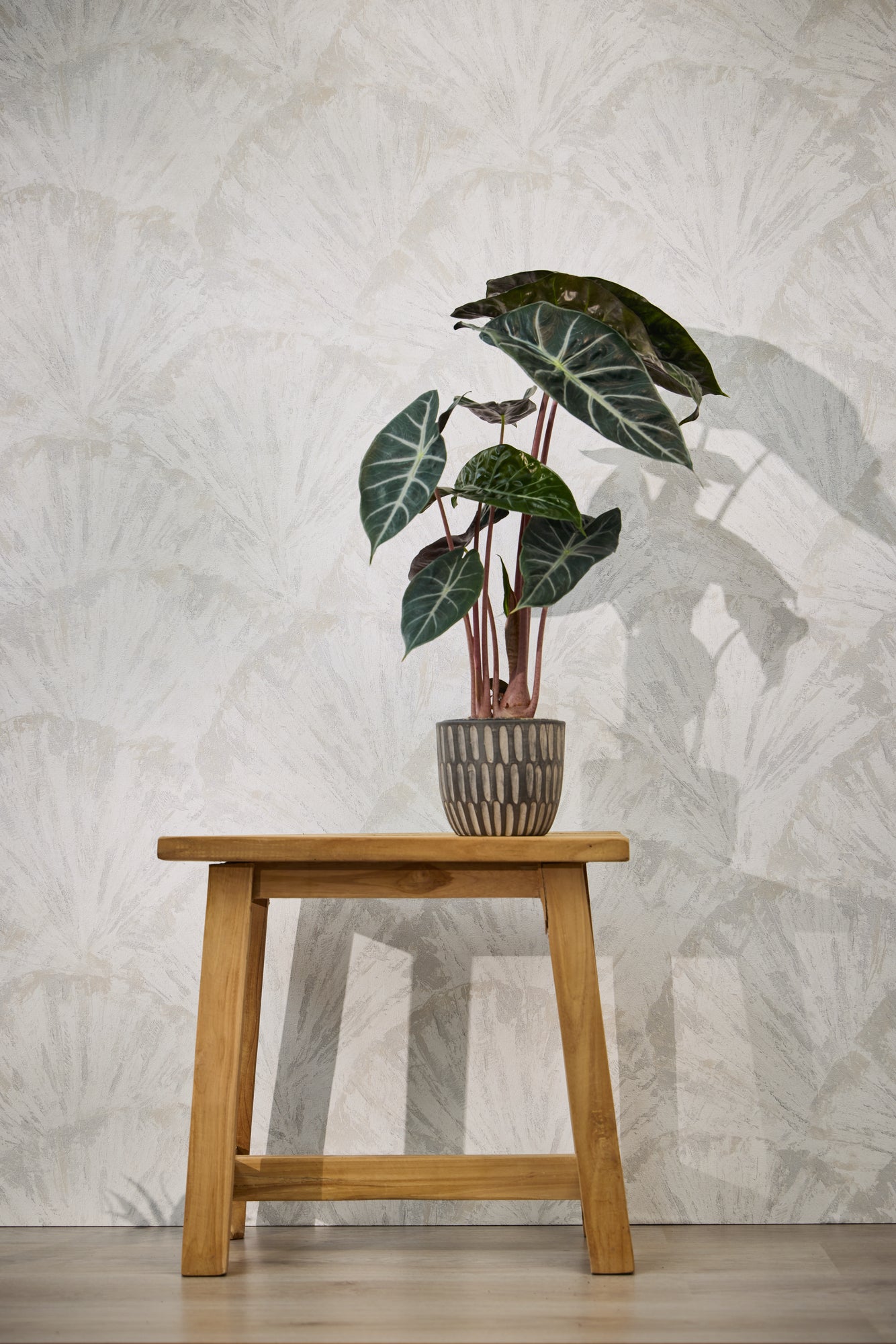 High-quality Non-woven Wallpaper White Graphic