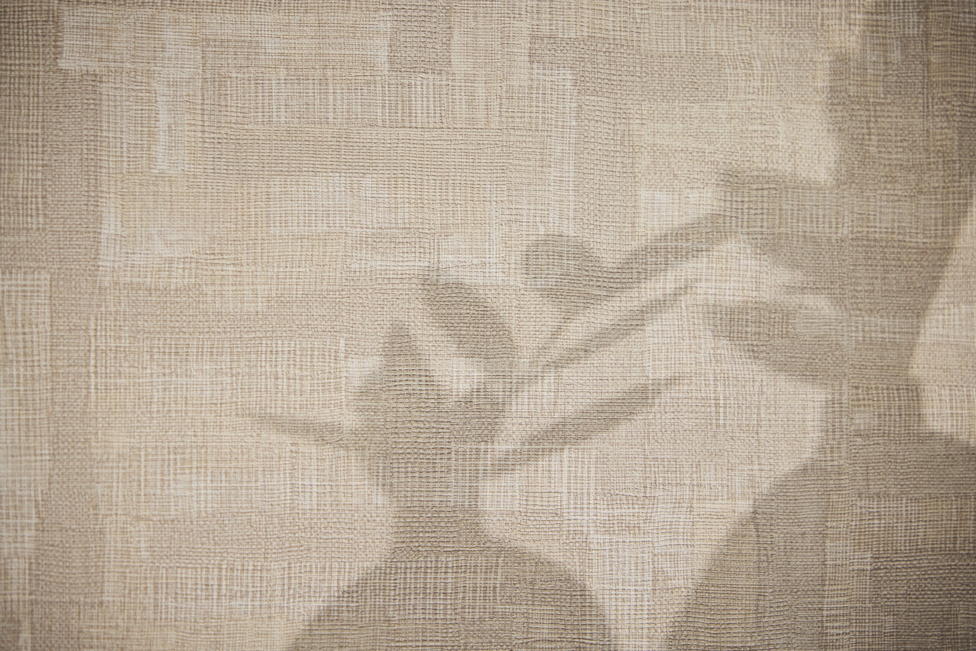High-Quality Non-Woven Wallpaper Beige Graphic