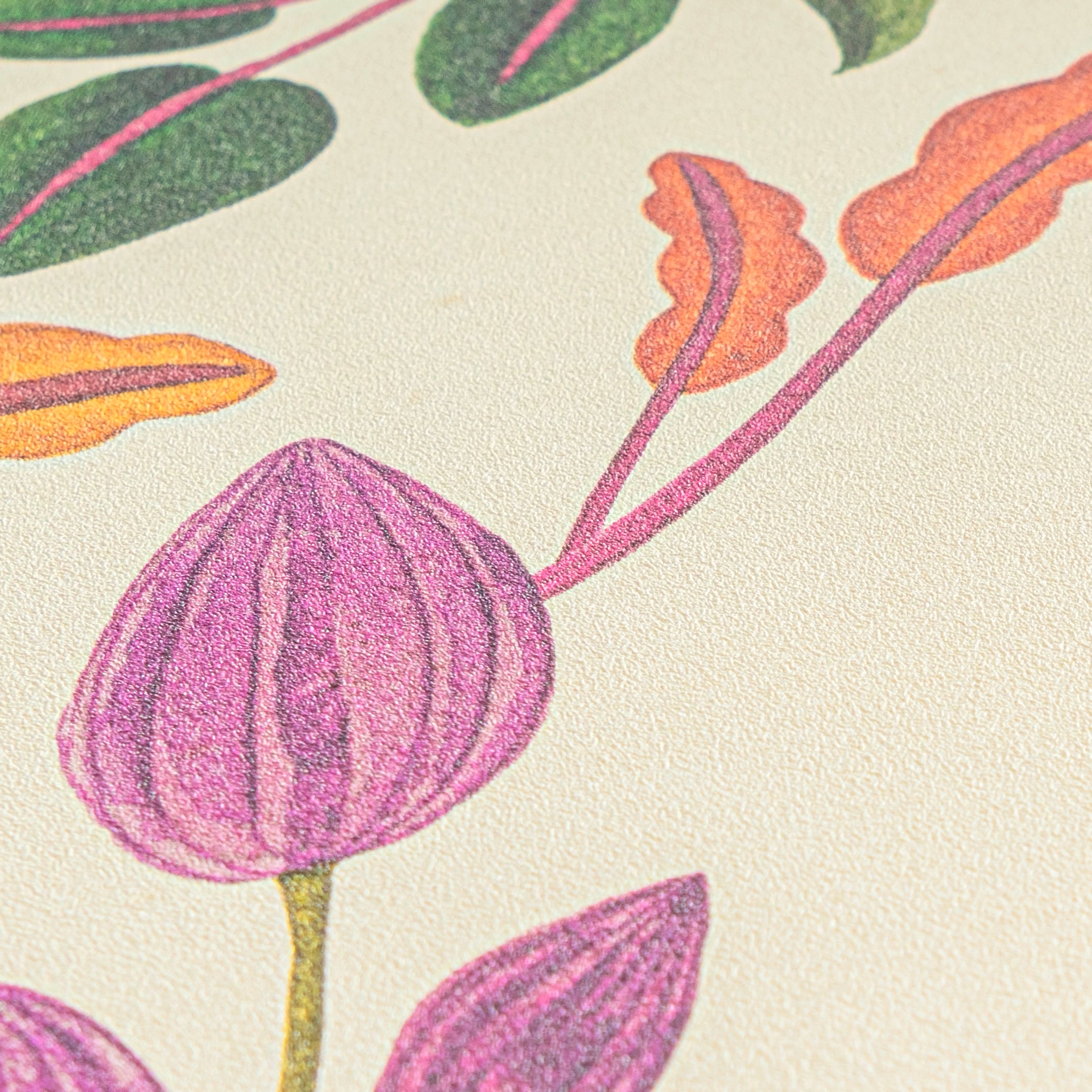 High-quality wallpaper from the Anna D'Andrea collection in cream 