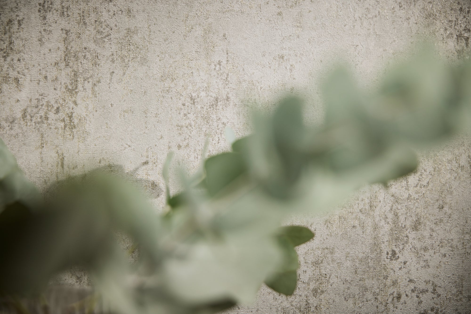 High-Quality Non-Woven Wallpaper Grey Texture