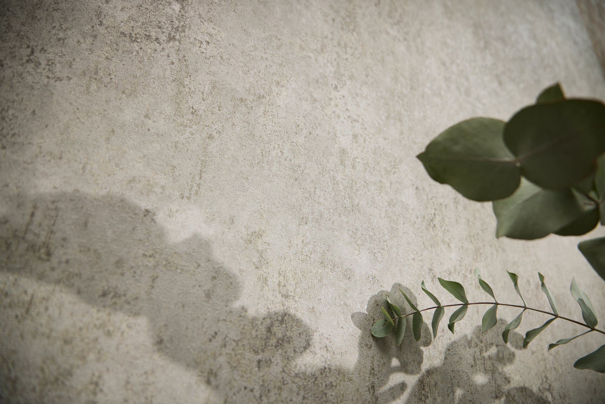 High-Quality Non-Woven Wallpaper Grey Texture