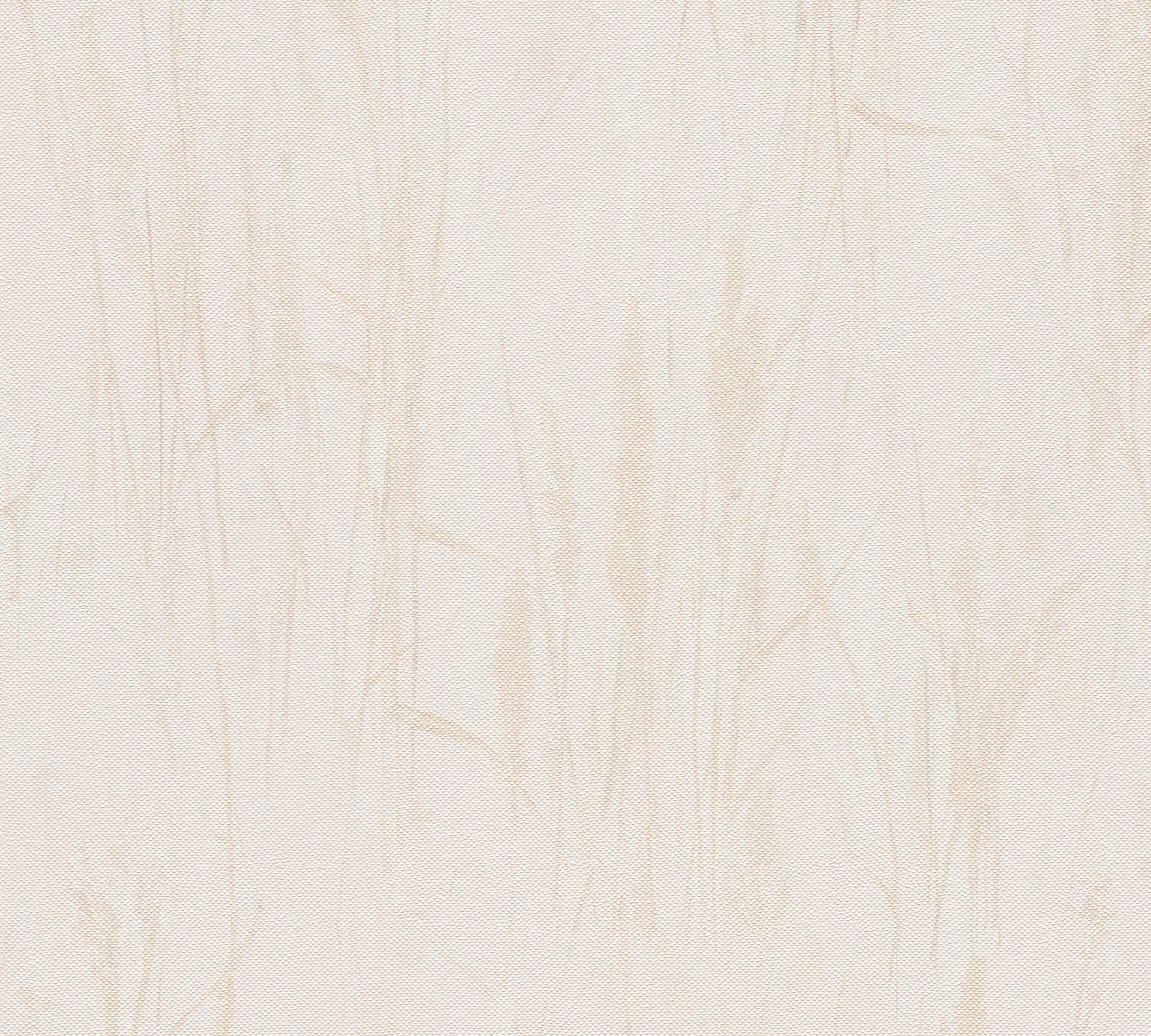 Hochwertige Vliestapete Beige Natur