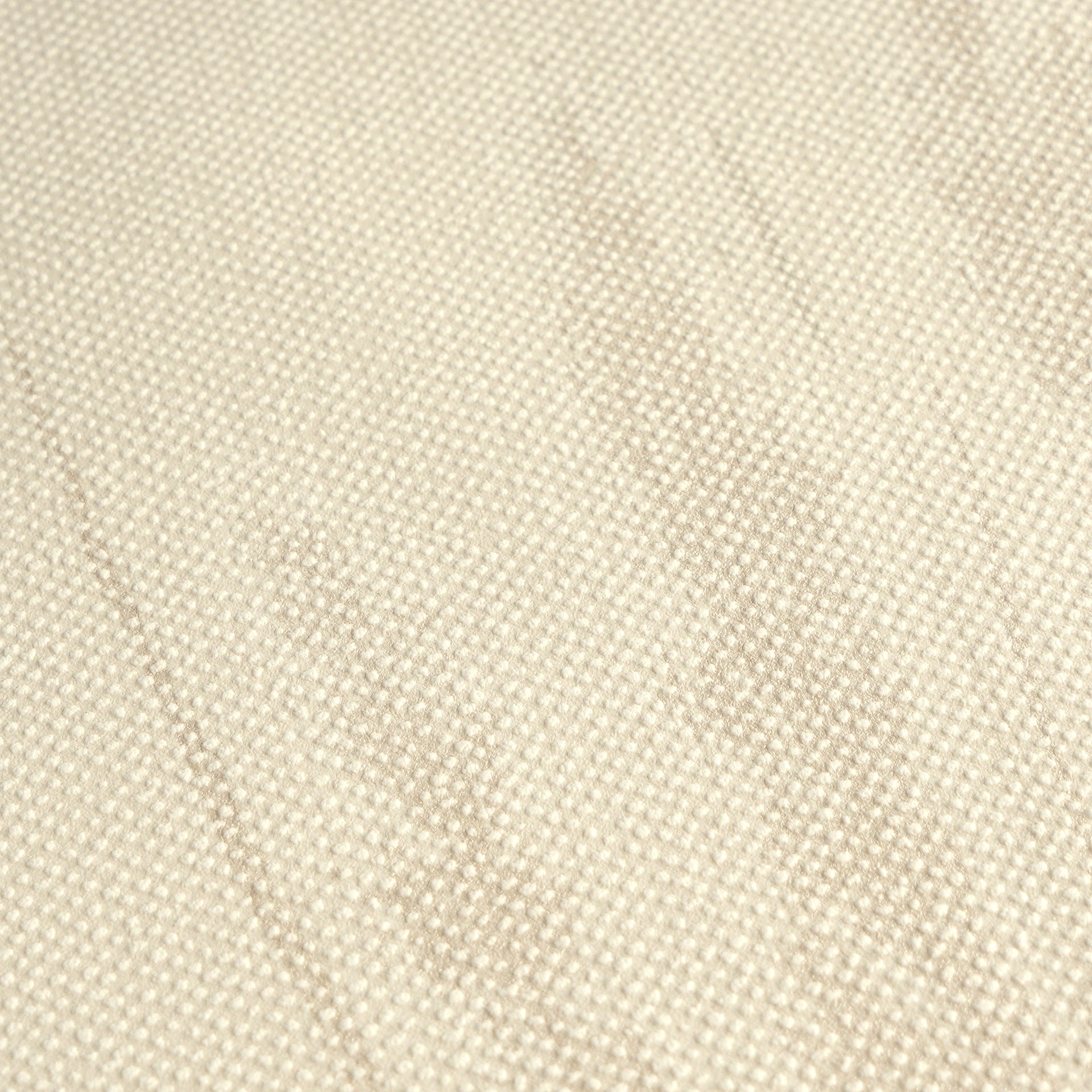 High-Quality Non-Woven Wallpaper Beige Nature