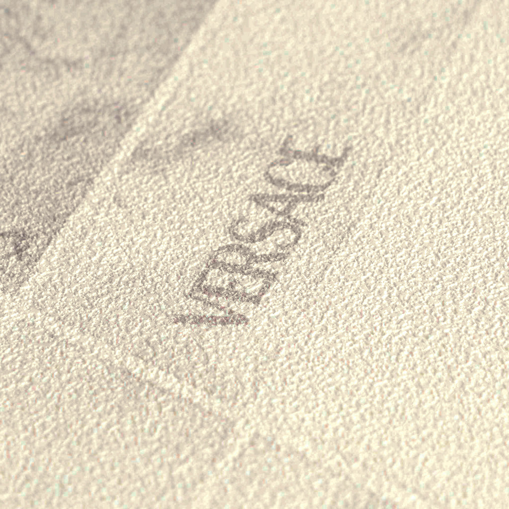 Versace 6 non-woven wallpaper