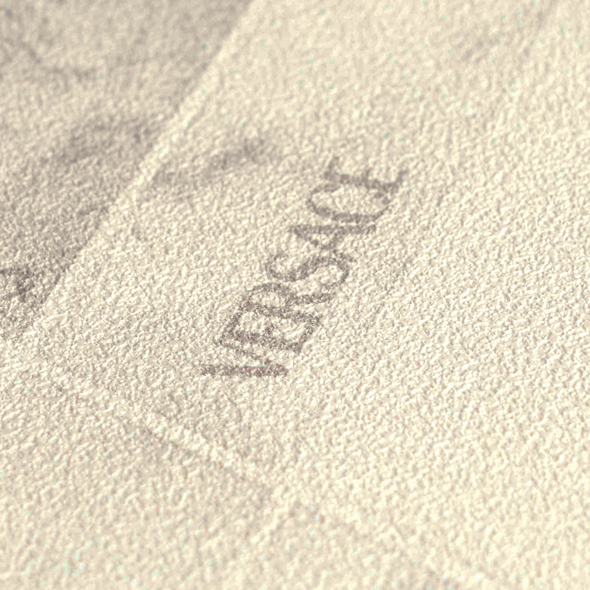 Versace 6 non-woven wallpaper