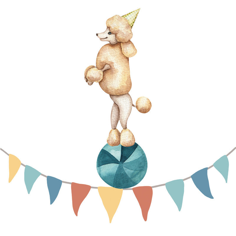 Make Circus3 