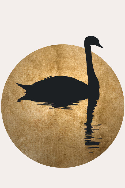 TheSwan2 