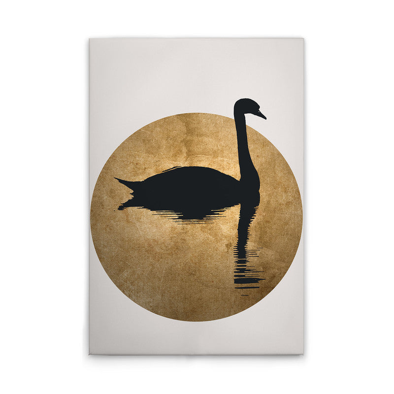 TheSwan2 