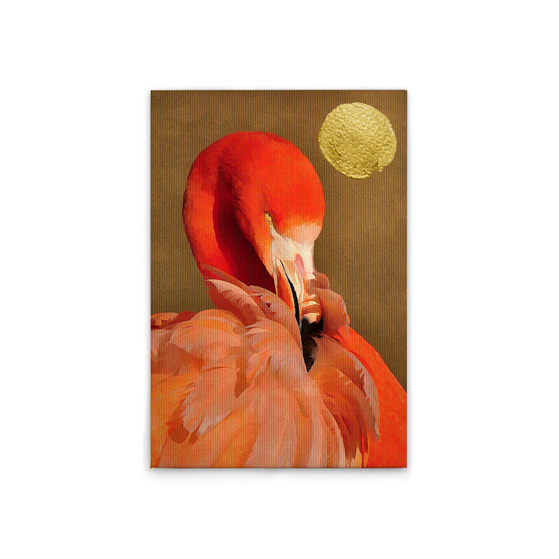 FlamingoInSun