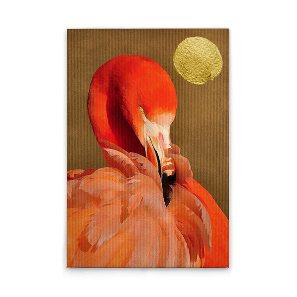 FlamingoInSun