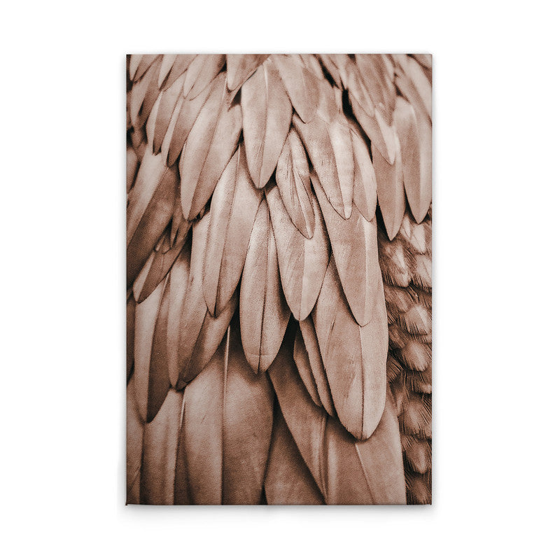 Feathers1