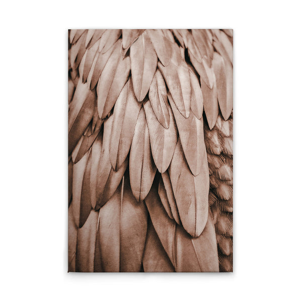 Feathers1