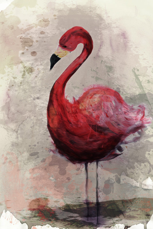 flamingo