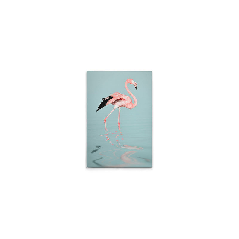 FlamingoWater