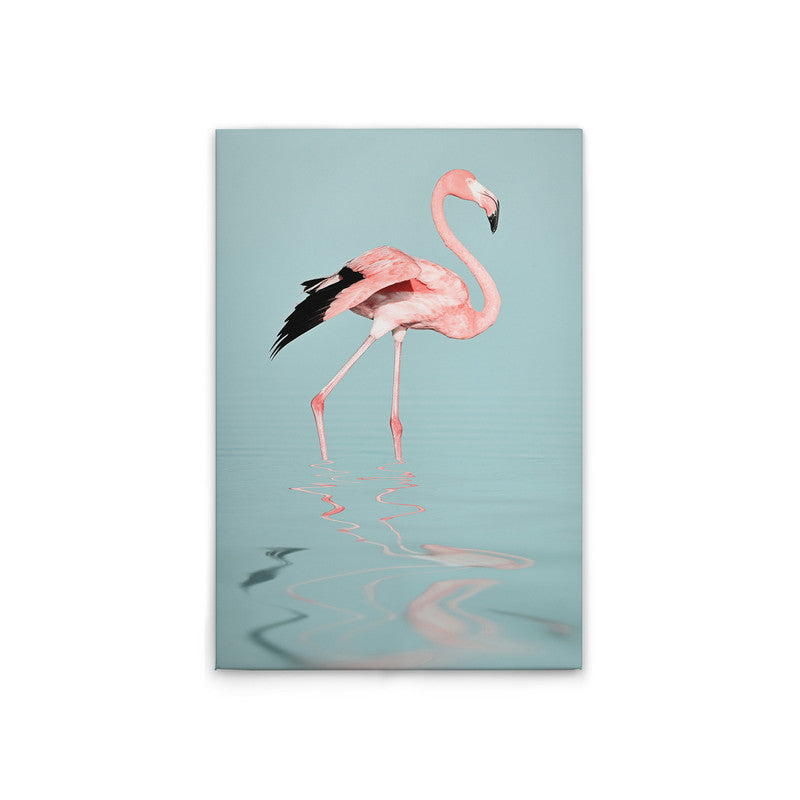 FlamingoWater