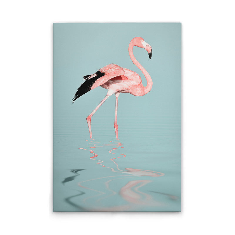 FlamingoWater