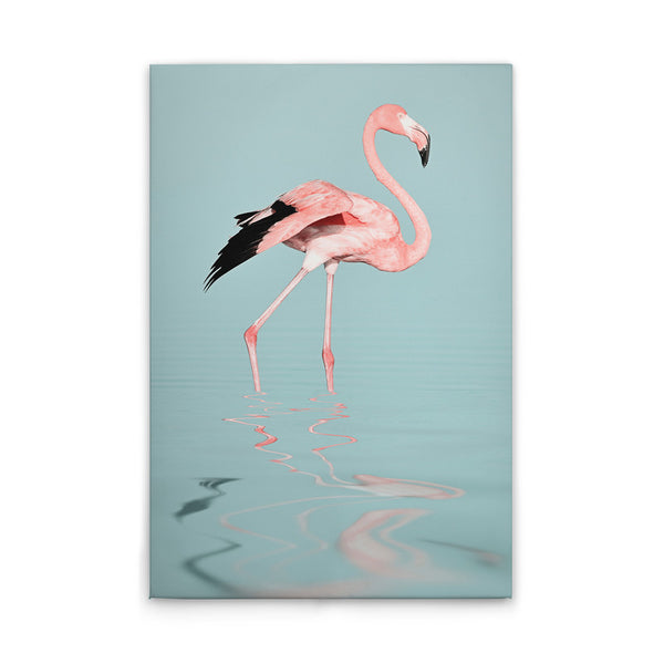 FlamingoWater