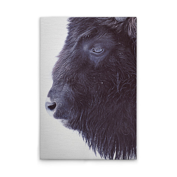 BlackBuffalo