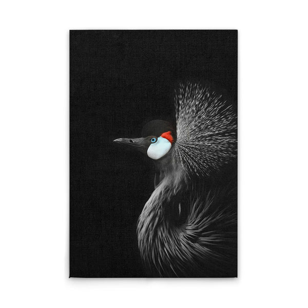 CrownedCraneBl