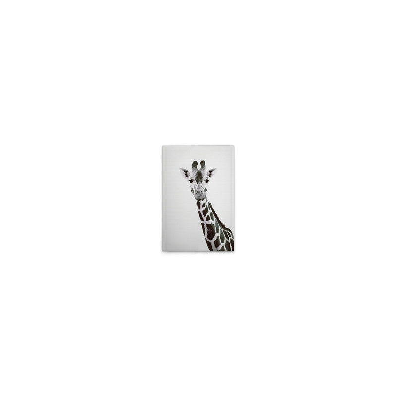 Giraffe Portrait 