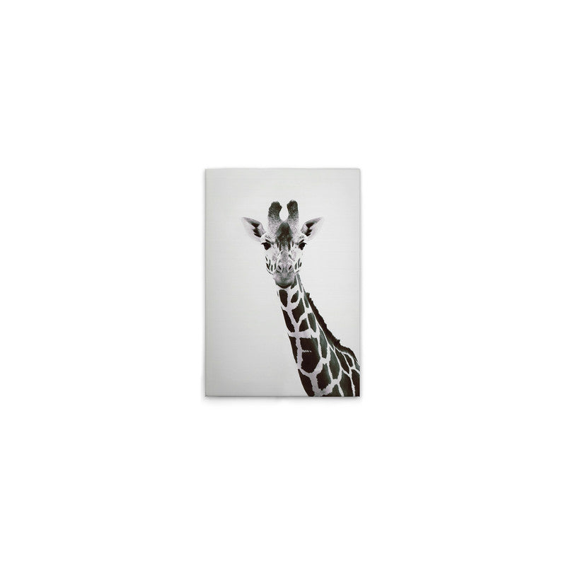 Giraffe Portrait 