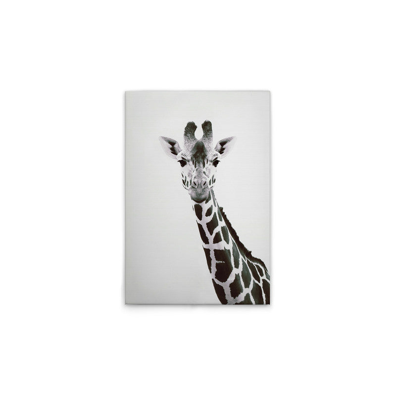 Giraffe Portrait 