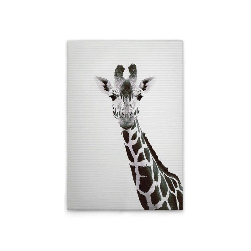 Giraffe Portrait 
