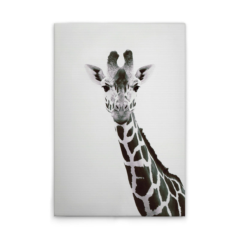 GiraffePortrai