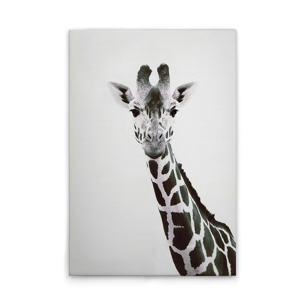 GiraffePortrai