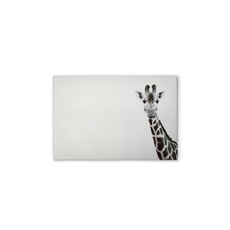 Giraffe Portrait 