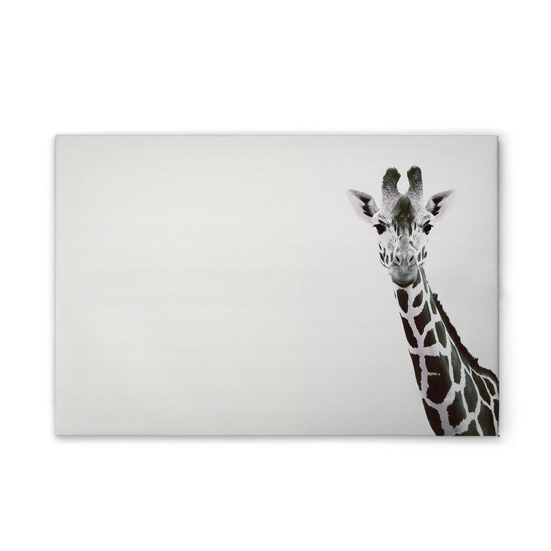 Giraffe Portrait 