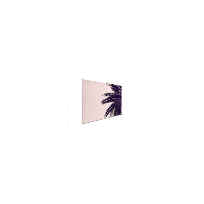 PalmTree 