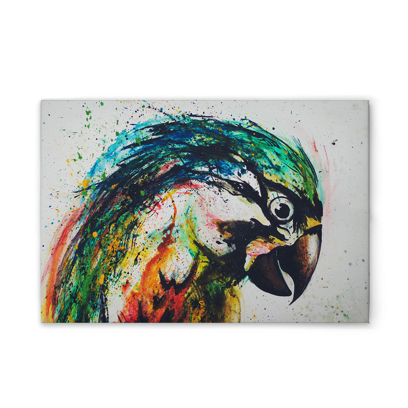 Parrot