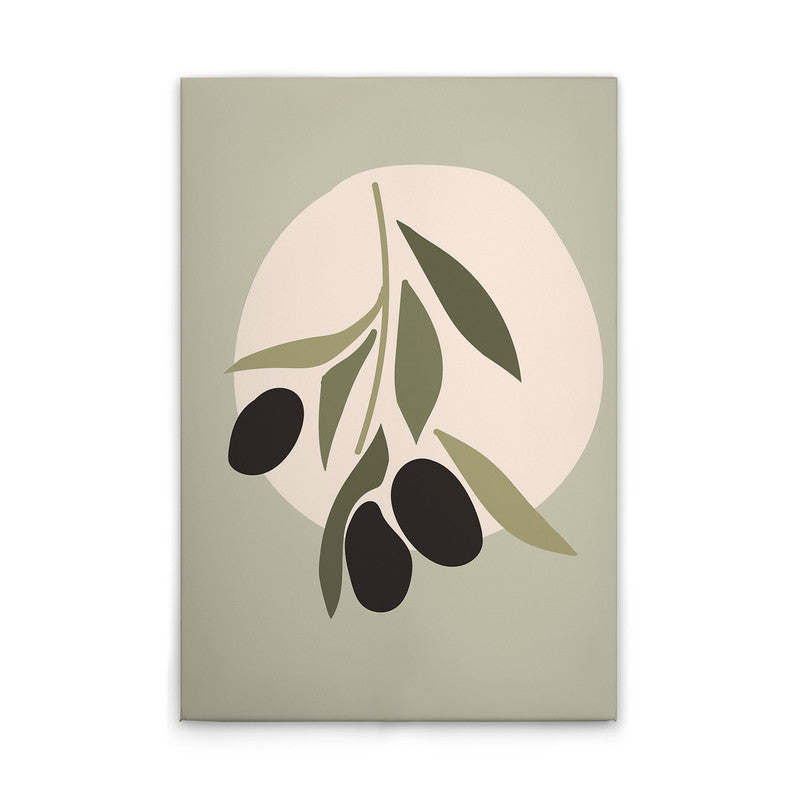 Olive1 