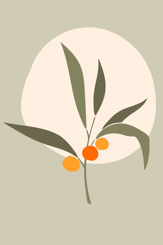 Olive3 