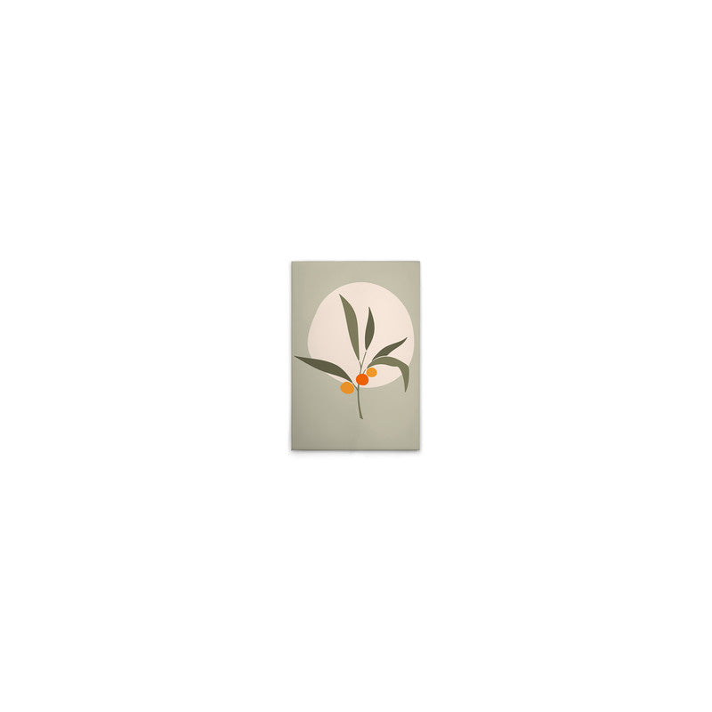 Olive3 