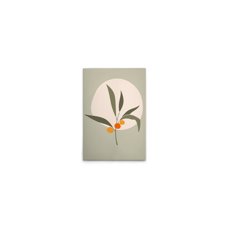 Olive3 