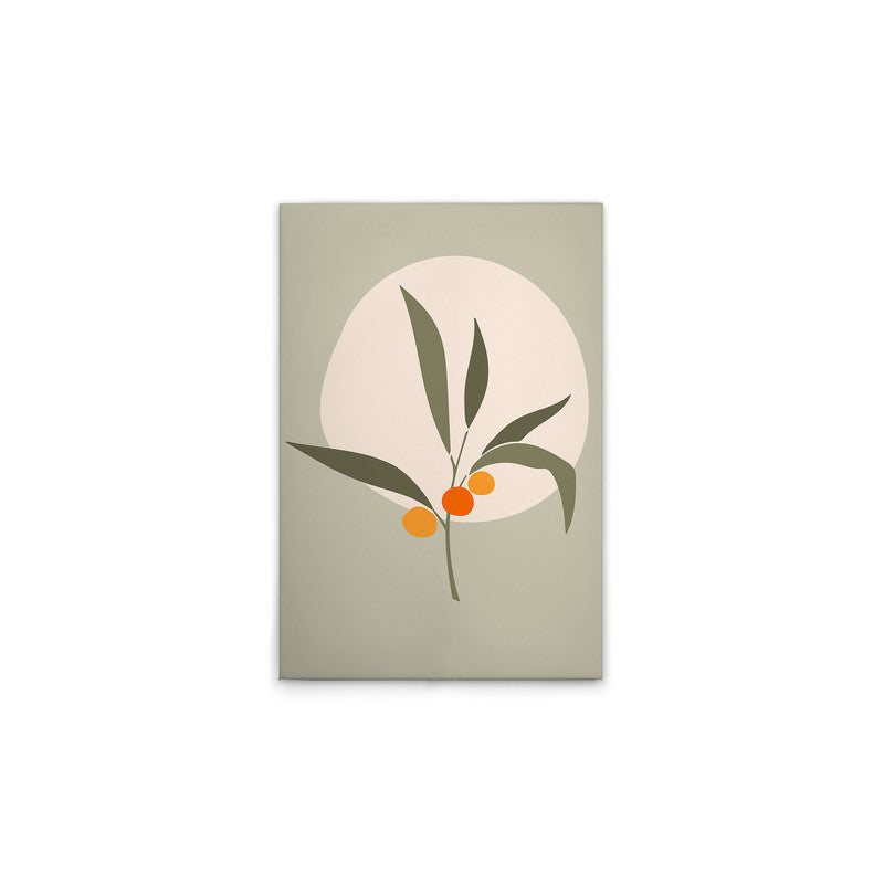 Olive3 